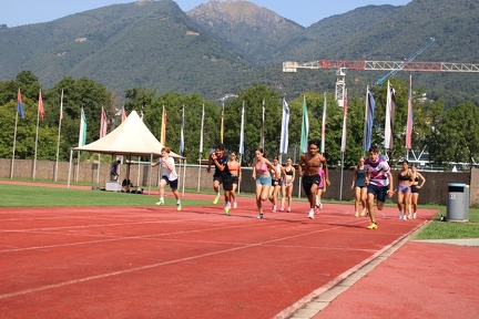 campo tenero 2026 470